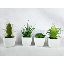 Plantas de deserto de plástico baratas, mesa de plantas ornamentais artificiais
